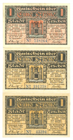 Cieszyn (Teschen), 1 crown 1919 - set of 3 copies.