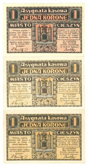 Cieszyn (Teschen), 1 crown 1919 - set of 3 copies.