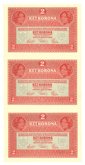 Austria, 2 korony 1917 - zestaw 3 egz. kolejne numery