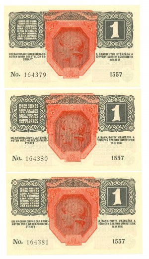 Austria, 1 korona 1916 - zestaw 3 egz.