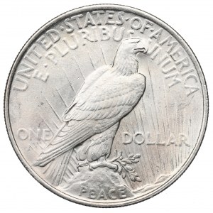 USA, Dollaro della pace 1923