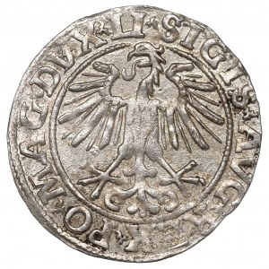 Sigismund II Augustus, Halfgroat 1551, Vilnius - overstrike DX/VX