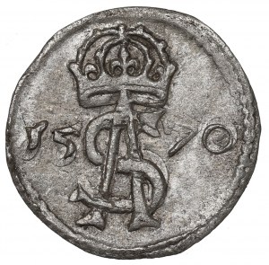 Sigismund II Augustus, 2 denarii 1570, Vilnius