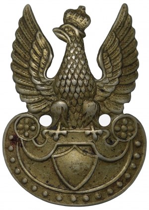 II RP, Eagle wz.23 fusillade - partisan(?)