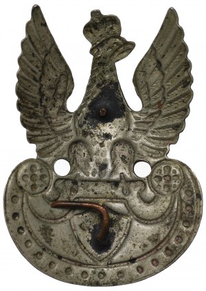 II RP, Eagle wz.23 fusillade - partisan(?)
