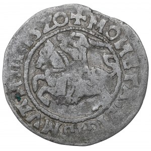 Sigismund I the Old, Halfgroat 1520, Vilnius