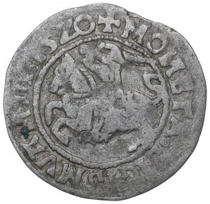 Sigismund I the Old, Halfgroat 1520, Vilnius