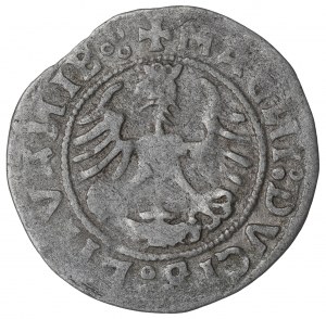 Sigismund I the Old, Halfgroat 1520, Vilnius
