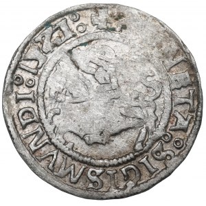 Sigismund I the Old, Halfgroat 1521, Vilnius