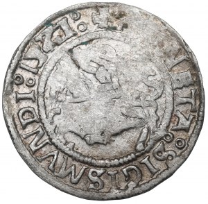 Sigismund I the Old, Halfgroat 1521, Vilnius