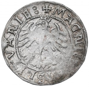 Sigismund I the Old, Halfgroat 1521, Vilnius