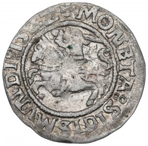 Sigismund I the Old, Halfgroat 1522, Vilnius