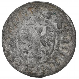 Casimir IV Jagellon, Schilling without date, Danzig
