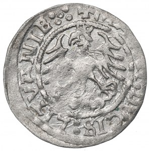 Sigismund I the Old, Halfgroat 1520, Vilnius