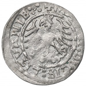 Sigismund I the Old, Halfgroat 1520, Vilnius