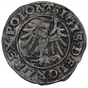 Sigismund I the Old, Solid 1539, Danzig