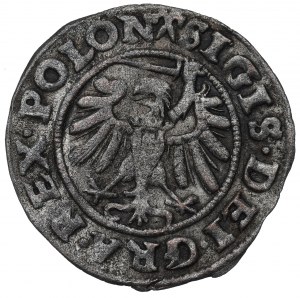 Sigismund I the Old, Solid 1539, Danzig