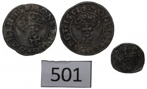 Sigismund I the Old, Set of municipal issues