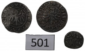 Sigismund I the Old, Set of municipal issues