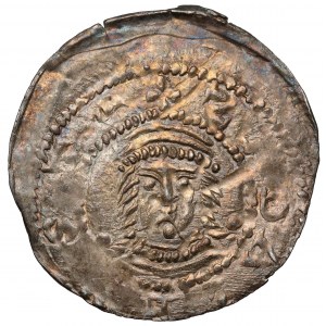 Przemysł I and Bolesław the Pious (1239-1249), denarius, Gniezno - RARE