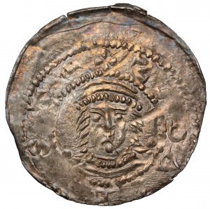 Przemysł I and Bolesław the Pious (1239-1249), denarius, Gniezno - RARE