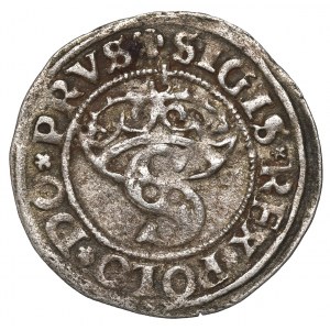 Sigismund I the Old, Schilling 1529, Thorn