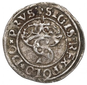 Sigismund I the Old, Schilling 1529, Thorn