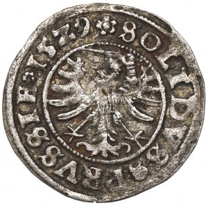 Sigismund I the Old, Schilling 1529, Thorn