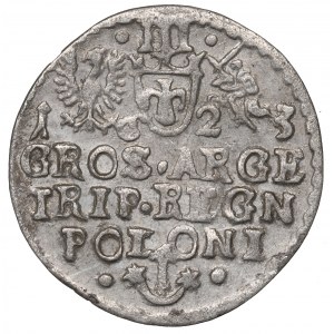Zygmunt III Waza, Trojak 1623, Kraków - nieopisany