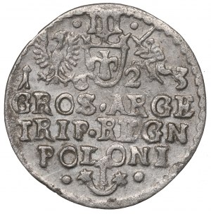 Sigismund III Vasa, Trojak 1623, Krakow - undescribed