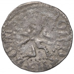 Vladislaus II Jagello, 1/4 groschen without date, Lemberg