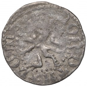 Vladislaus II Jagello, 1/4 groschen without date, Lemberg