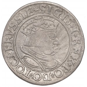 Sigismund I the Old, Groschen for Prussia 1534, Thorn