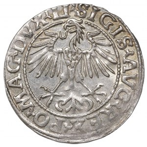 Sigismund II Augustus, Halfgroat 1548, Vilnius