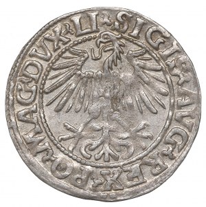 Sigismund II Augustus, Halfgroat 1548, Vilnius