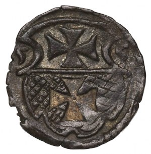 Sigismund II Augustus, Denarius 1555, Elbląg