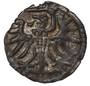Sigismund II Augustus, Denarius 1555, Elbląg