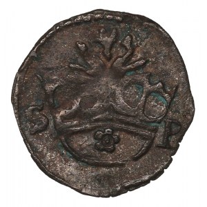 Sigismund I the Old, Denarius without date, Cracow - S-P