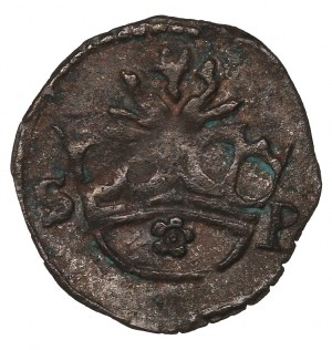 Sigismund I the Old, Denarius without date, Cracow - S-P