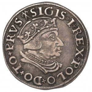 Sigismondo I il Vecchio, Trojak 1538, Danzica