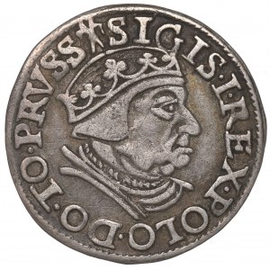Sigismondo I il Vecchio, Trojak 1538, Danzica