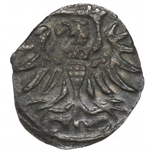 Sigismund II Augustus, Denarius 1554, Elbląg