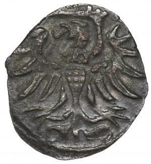 Sigismund II Augustus, Denarius 1554, Elbląg