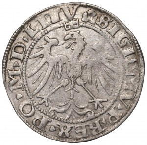 Sigismund I the Old, Groat 1536, Vilnius