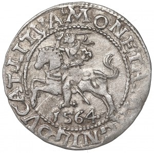Sigismund II Augustus, Half-groat 1564, Vilnius, L/LITVA