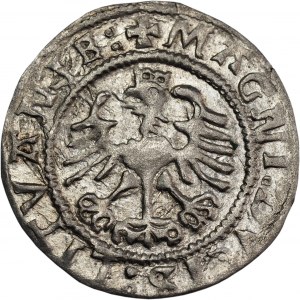 Sigismund I the Old, half-grosz 1524, Vilnius, reversed 4 - BEAUTIFUL