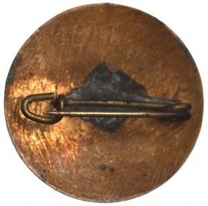 Second Republic, Badge of the 10th Anniversary of the Defense of the Western Borderlands 1929.