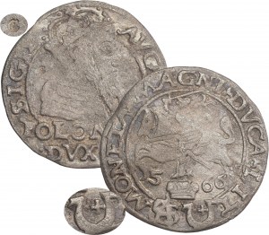 Sigismund II Augustus, Polish coin 1566, Tykocin, JASTRZĘBIEC coat of arms, ex Hutten Czapski - V. RARE