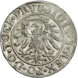 Sigismund I the Old, Grosz 1533, Elbląg - BEAUTIFUL