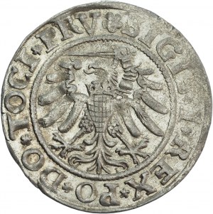 Sigismund I the Old, Grosz 1533, Elbląg - BEAUTIFUL